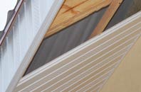 rated Ningwood Common soffit repair companies